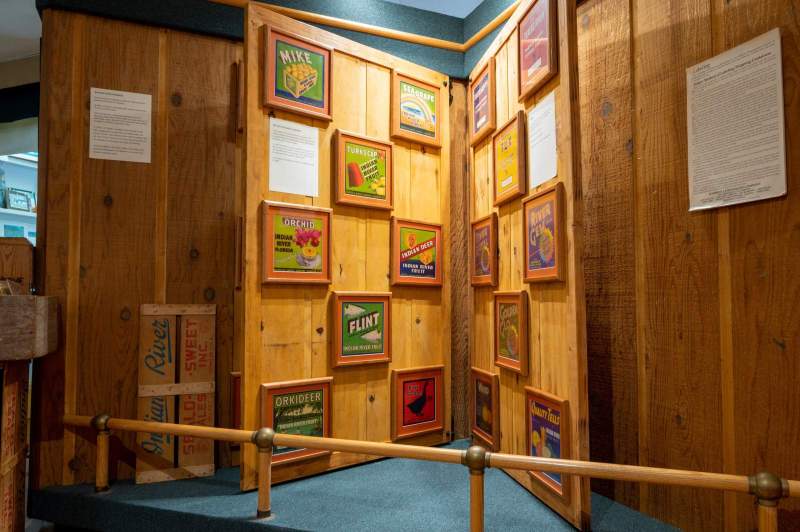A room with a wall gallery
