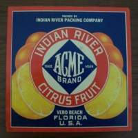 A vintage crate label of indian river citrus fruit