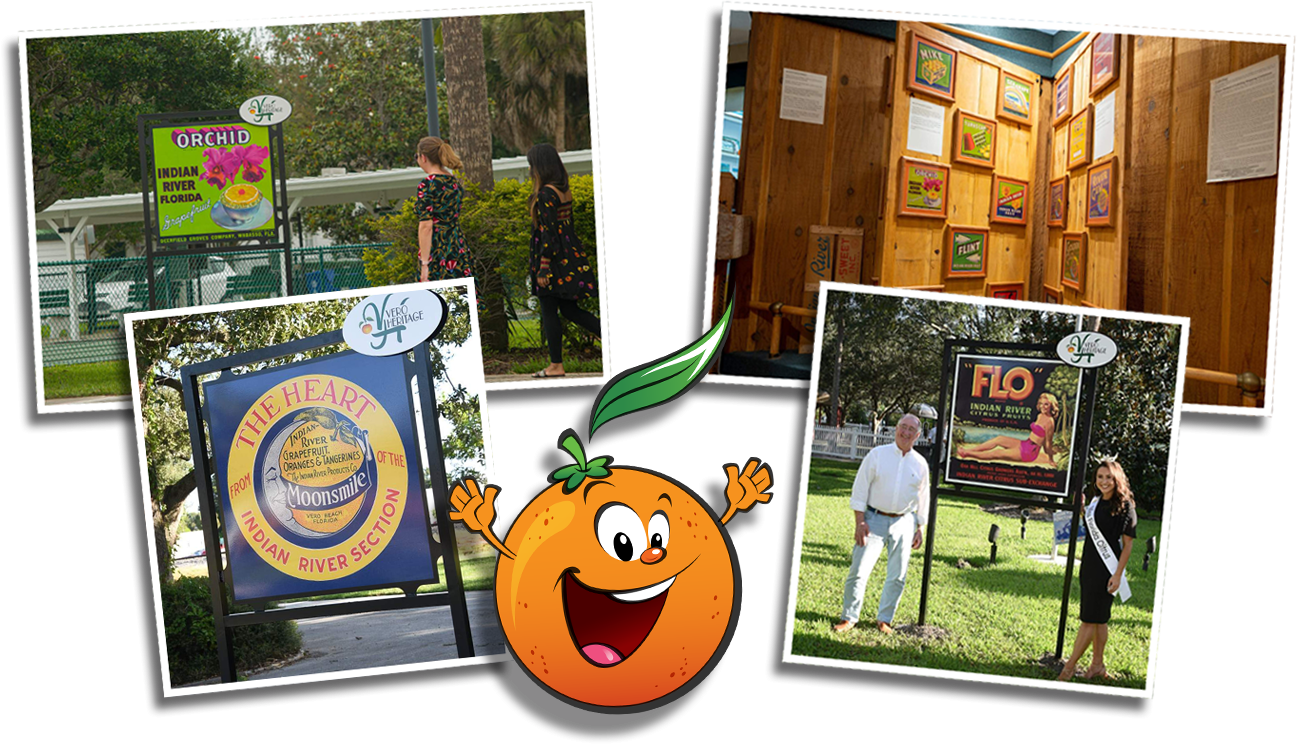 Picture collage of citrus labels, tour signs, and an orange with an excited expression.